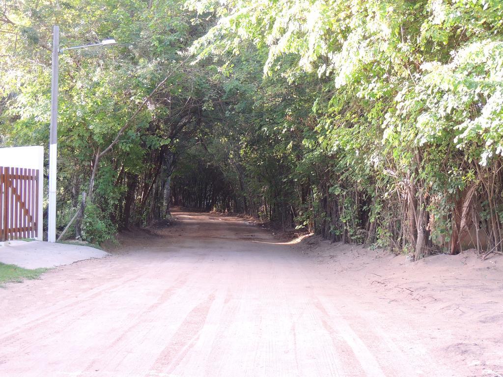 Pousada Quinta Do Patacho Pôrto de Pedras Dış mekan fotoğraf